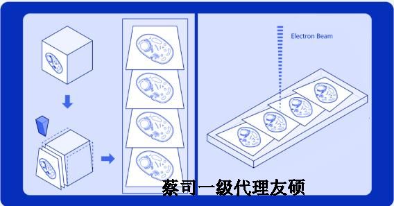 贺州蔡司贺州扫描电镜