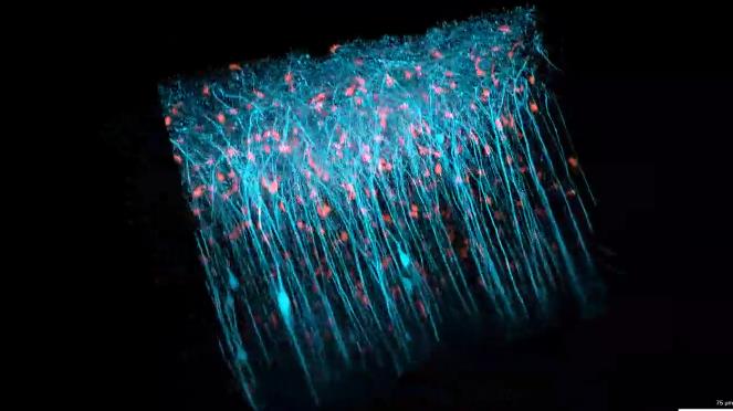 1749518479787885.jpg 360截图20250610091912409.jpg