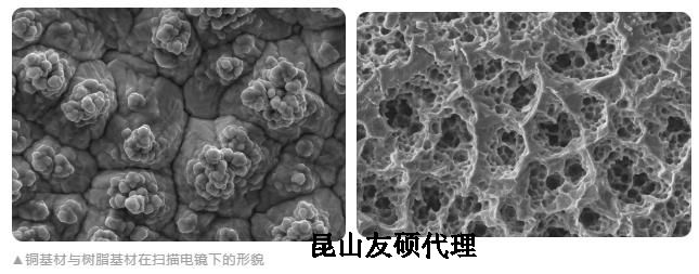 贺州蔡司贺州扫描电镜