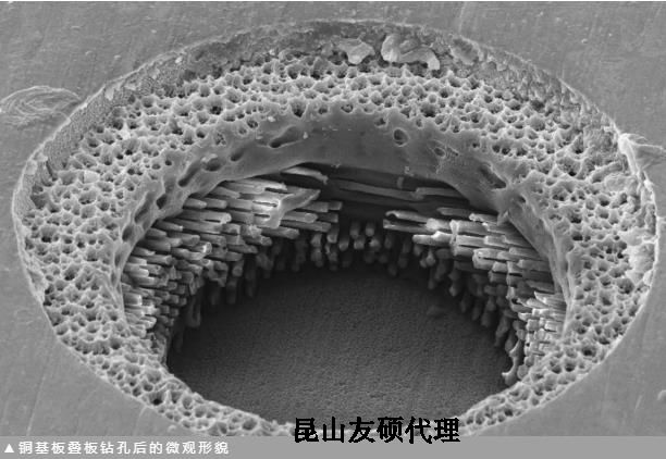 贺州蔡司贺州扫描电镜